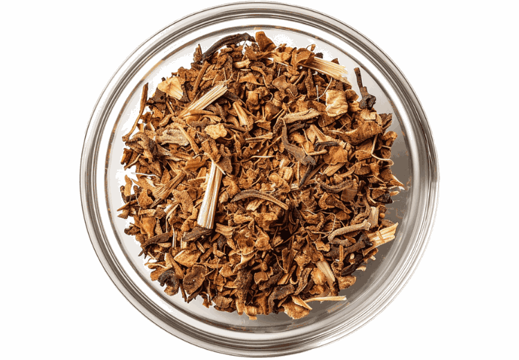 Mælkebøtte plante - naturlig urt til lever og fordøjelse i kosttilskud