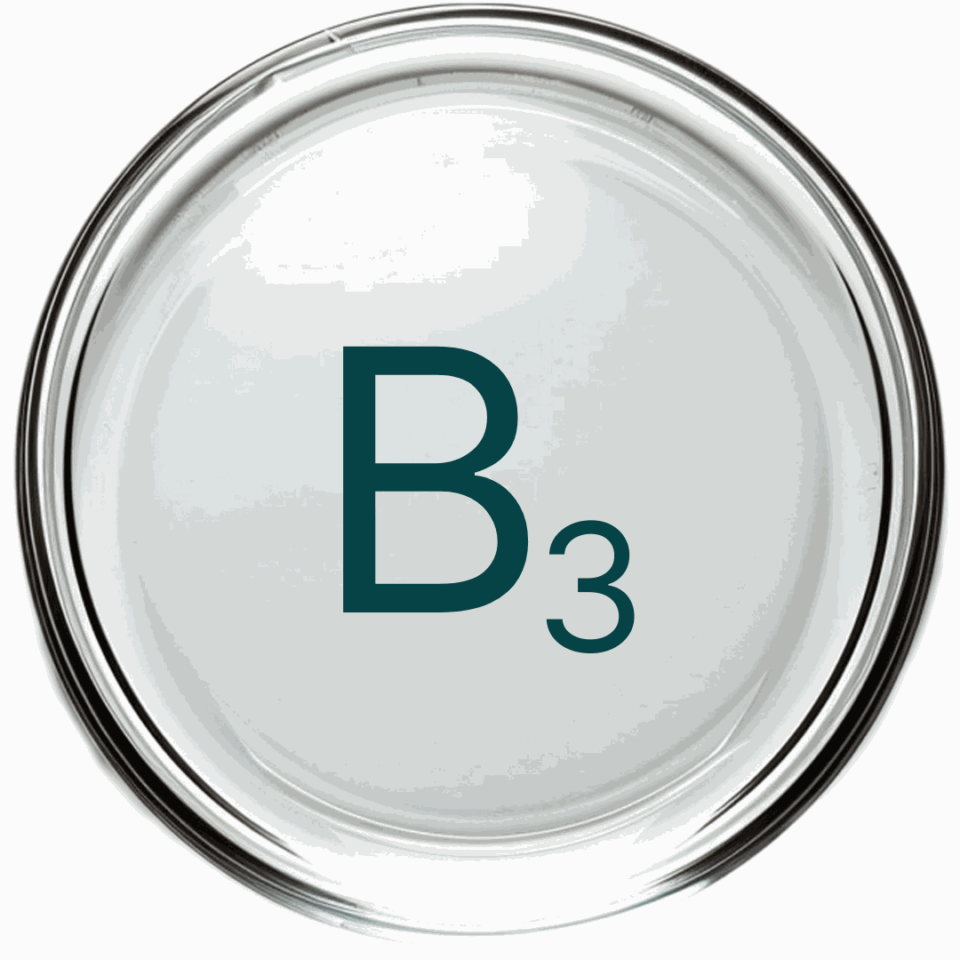 Vitamin B3