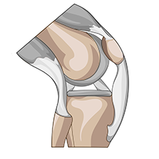 Hjemløs skrubbe Koncentration Artroform – Wellvita