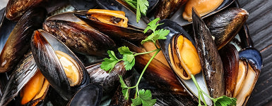 Strezza stress relief supplement with schisandra, Russian root, maté, and oat straw for mental clarity and better sleep