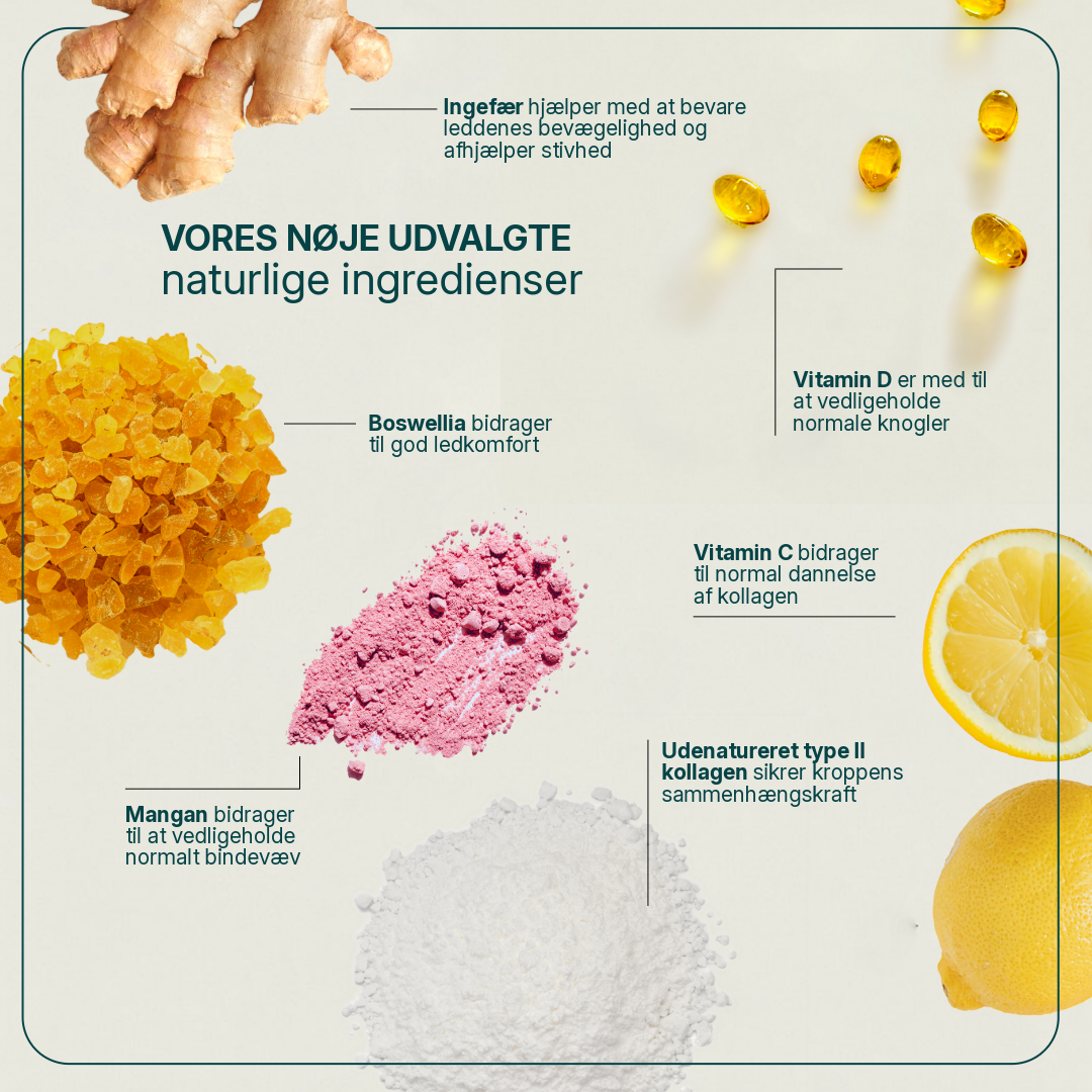 Cartiflex Collagen billede 2