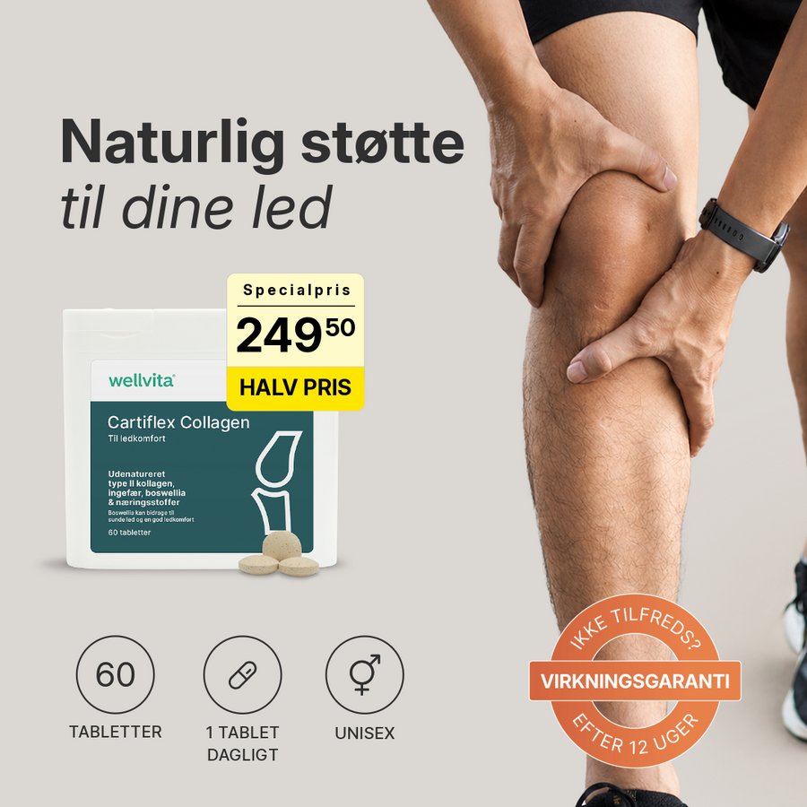 Cartiflex Collagen billede 1