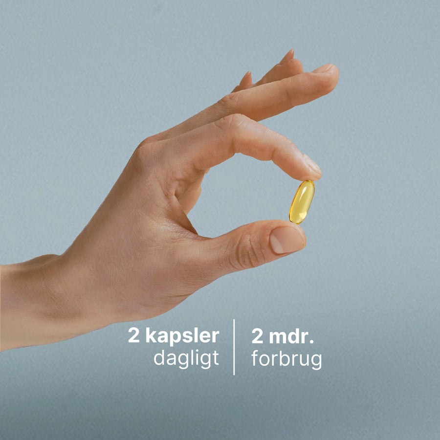 Fiskeolie billede 4