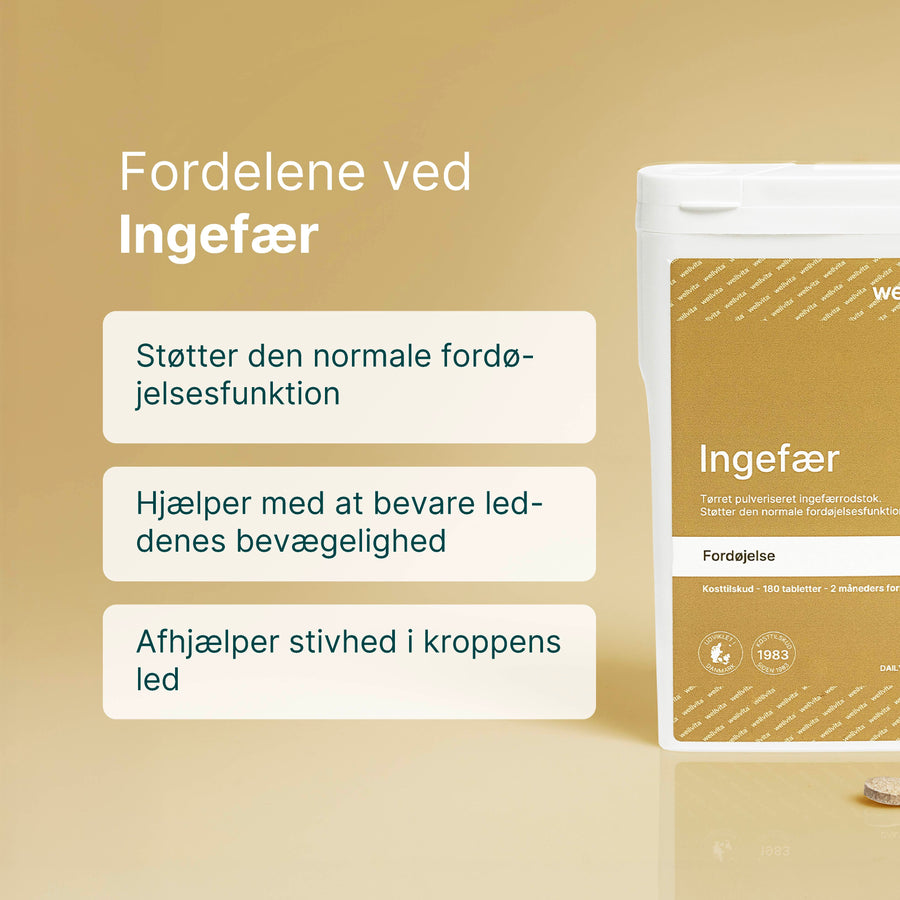 Ingefær billede 3