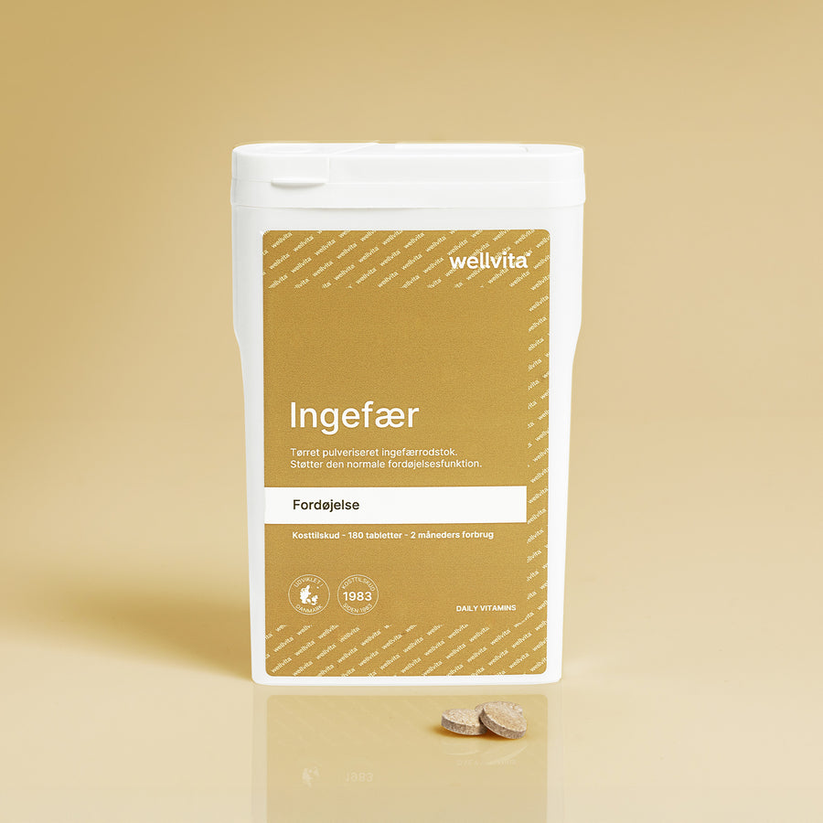 Ingefær billede 1