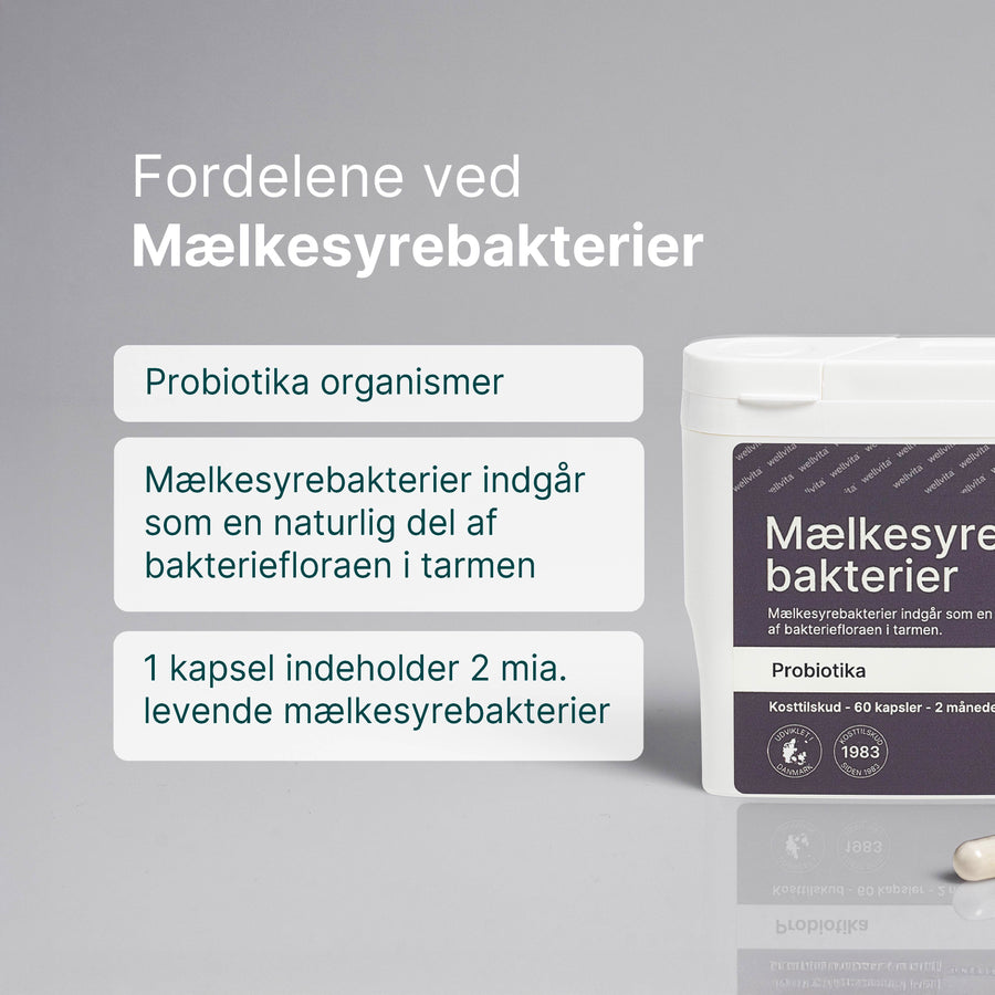 Mælkesyrebakterier billede 3