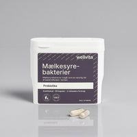 Mælkesyrebakterier