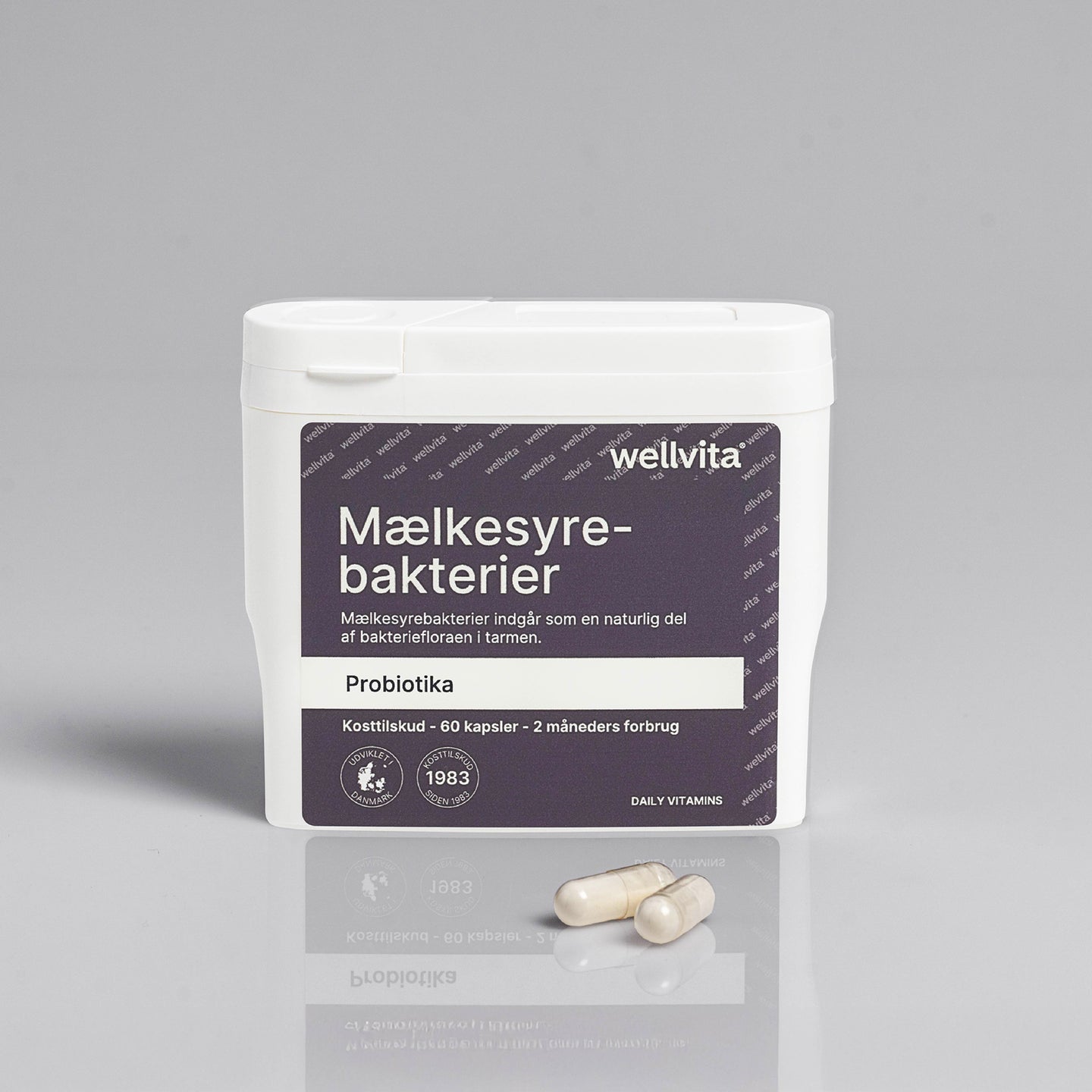 Mælkesyrebakterier billede 1