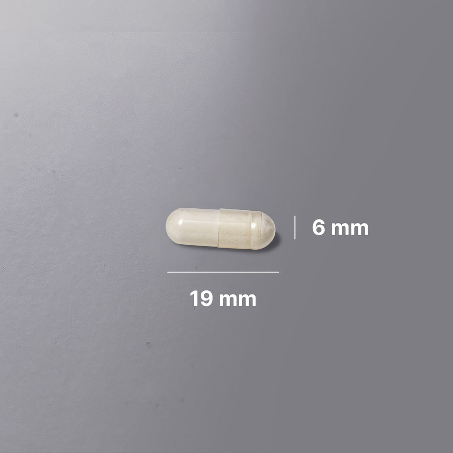 Mælkesyrebakterier billede 6