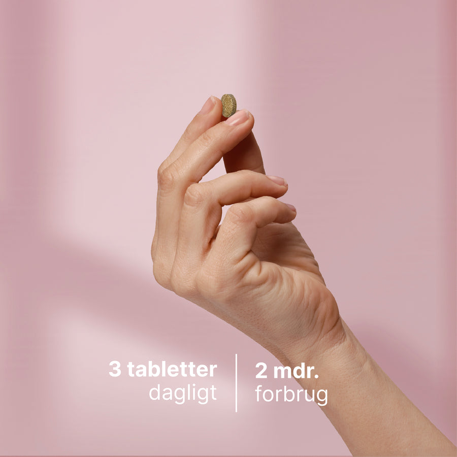 Silica billede 4