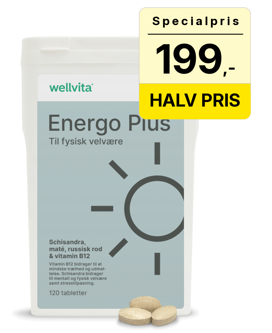 Wellvita Energo Plus – kosttilskud mod træthed og for mere energi