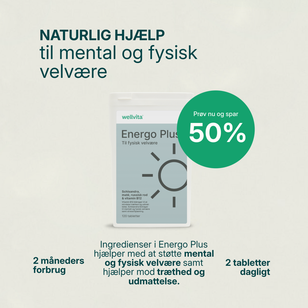 Energo Plus billede 1