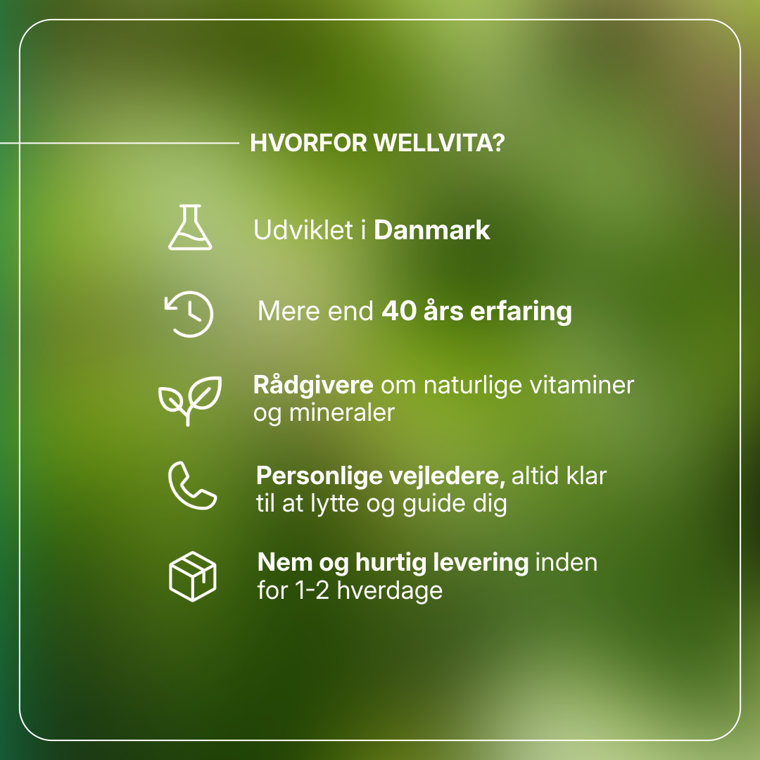 Energo Plus billede 3