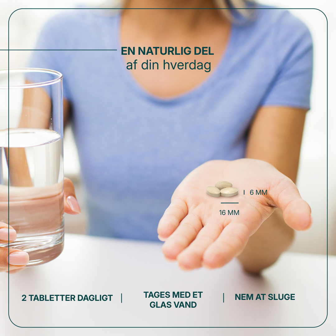 Energo Plus billede 4