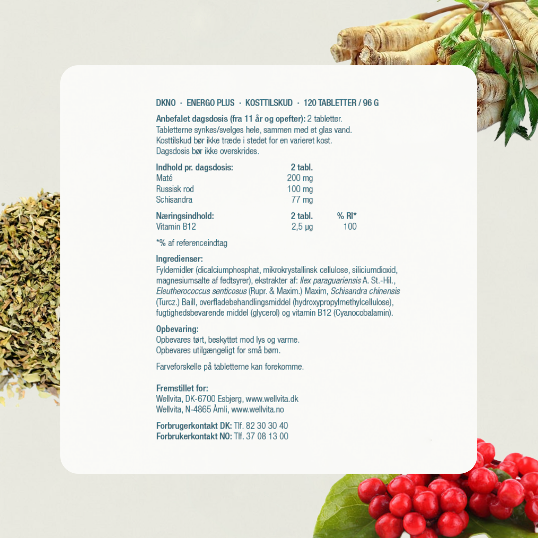 Energo Plus billede 5