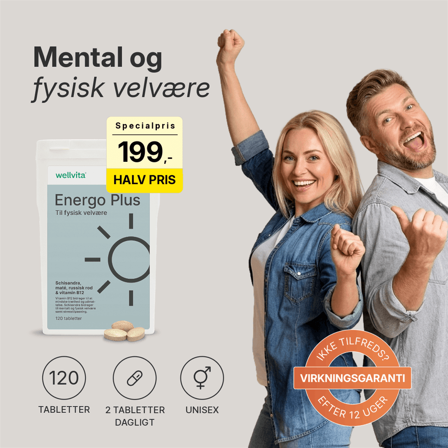 Energo Plus billede 1