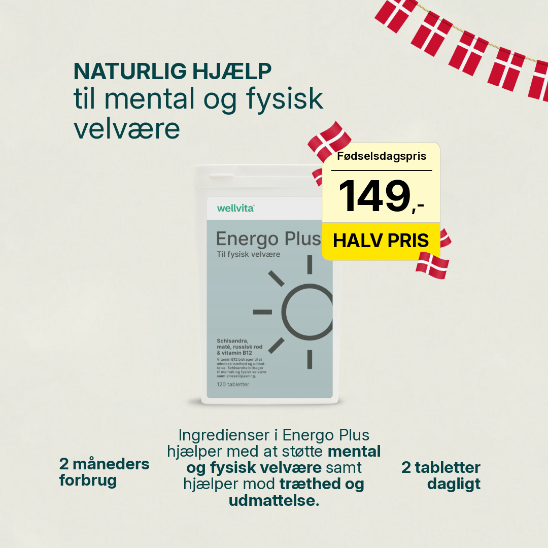 Energo Plus billede 1