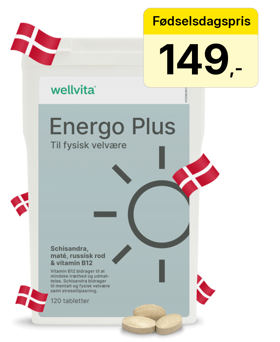 Energo Plus