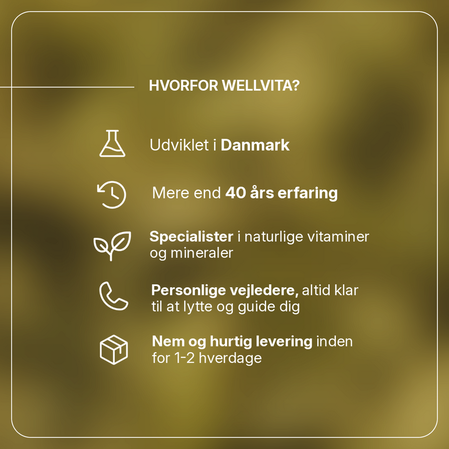 Gestomax billede 3