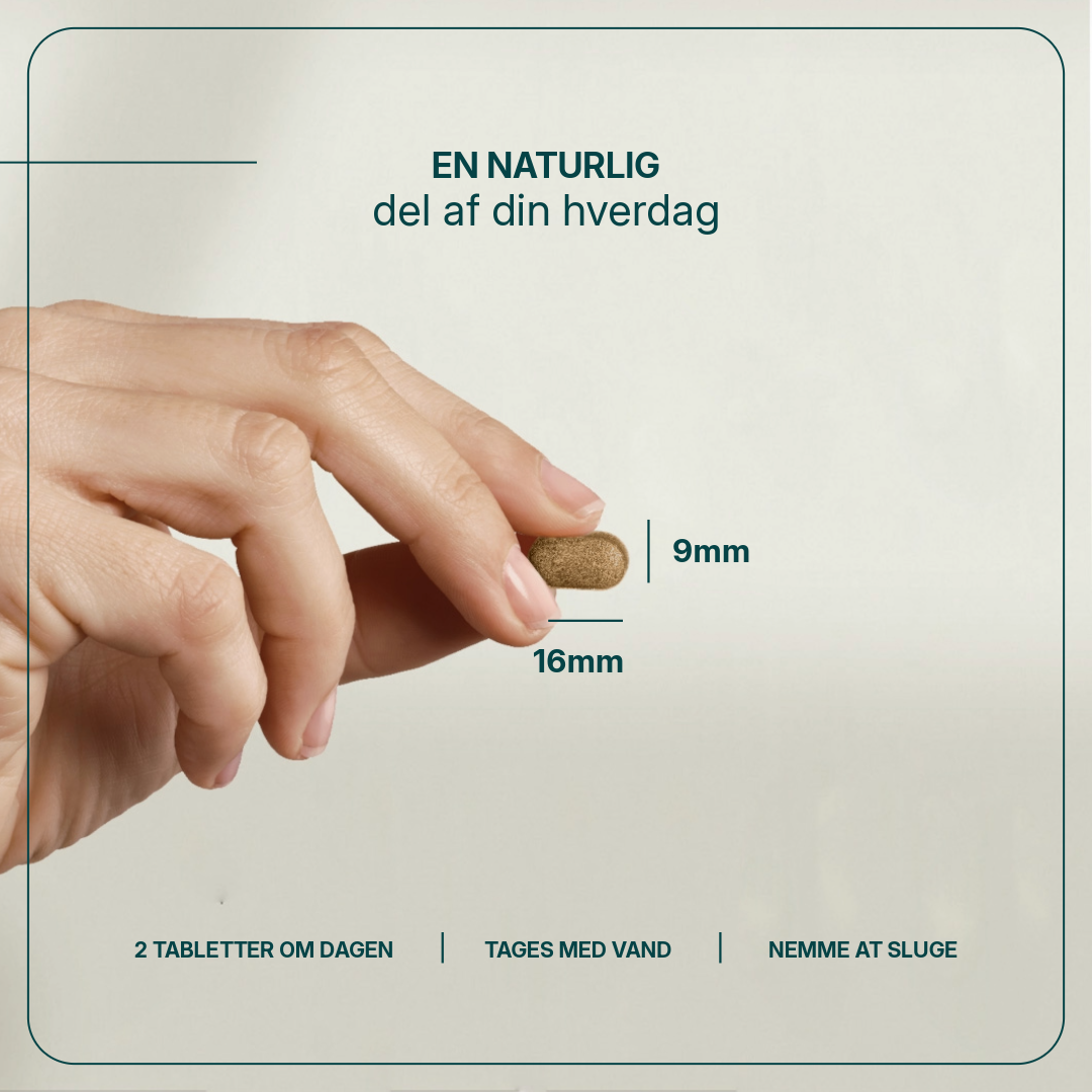 Gestomax billede 4