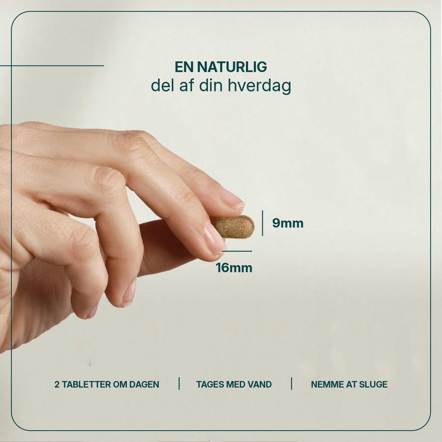 Gestomax billede 4