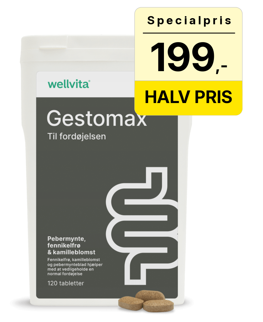Wellvita Gestomax – kosttilskud til fordøjelsen