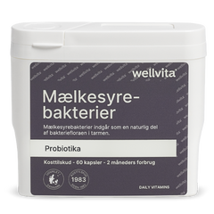 Mælkesyrebakterier