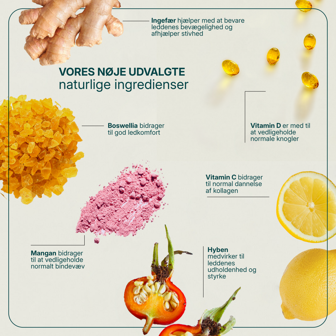 Movizin Complex billede 3