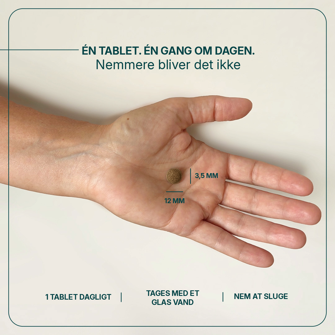 Remital billede 4