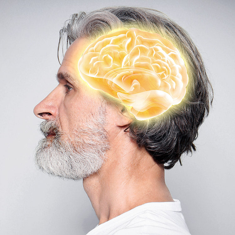 Sideprofilen af en mand med hjerne illustration centreret i hovedet