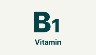 Mega B Complex kosttilskud med 8 B-vitaminer i kapsler fra Wellvita.