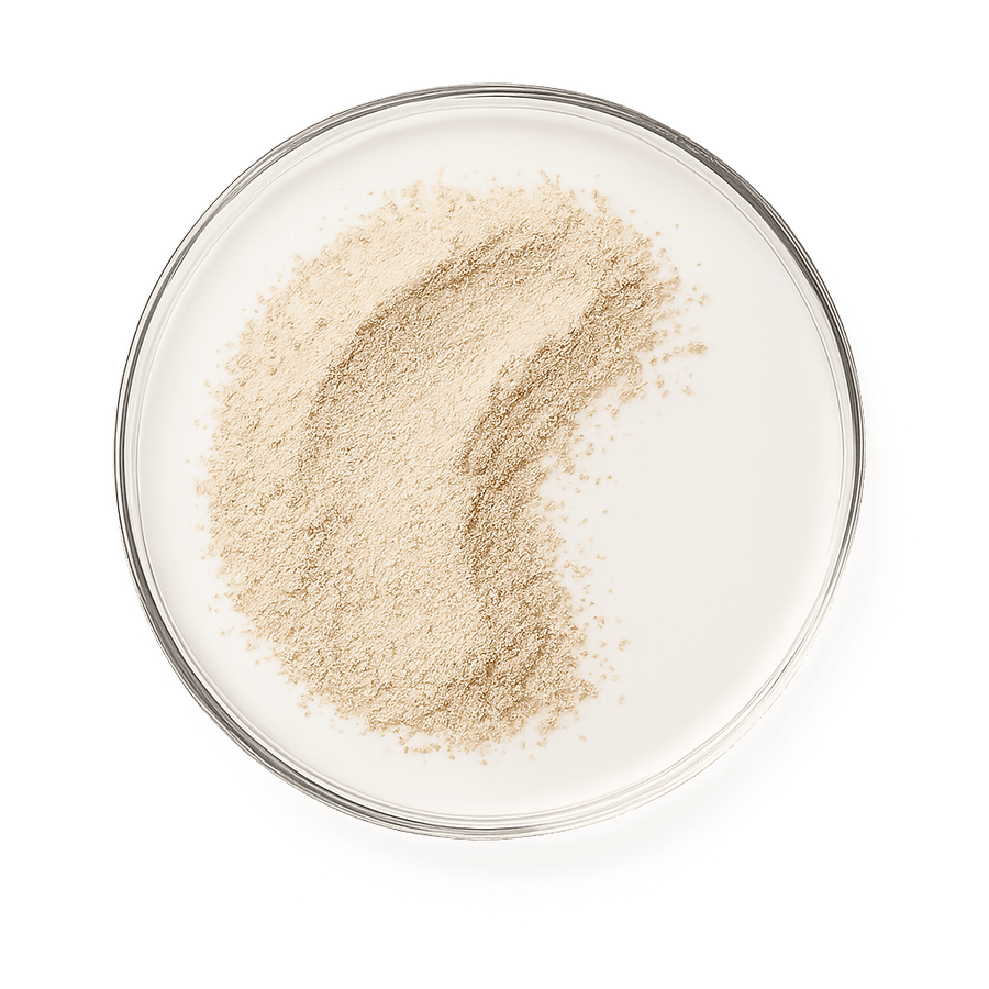 Remital kosttilskud med bacopa monnieri og ginseng til forbedret hukommelse og mental skarphed, 60 tabletter.