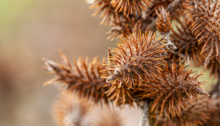 Hydrolet kosttilskud med agerpadderokke, hibiscus og kalium til støtte for nyrer og blodtryk.