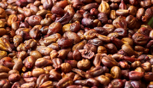 Produktemballage af Venolet med piller