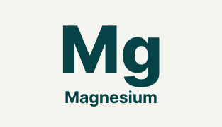 Strezza kosttilskud mod stress med schisandra, russisk rod og havrestrå for bedre ro og energi