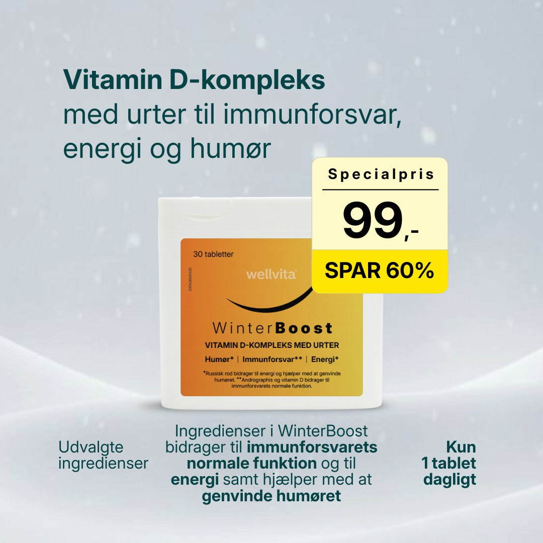 WinterBoost billede 1