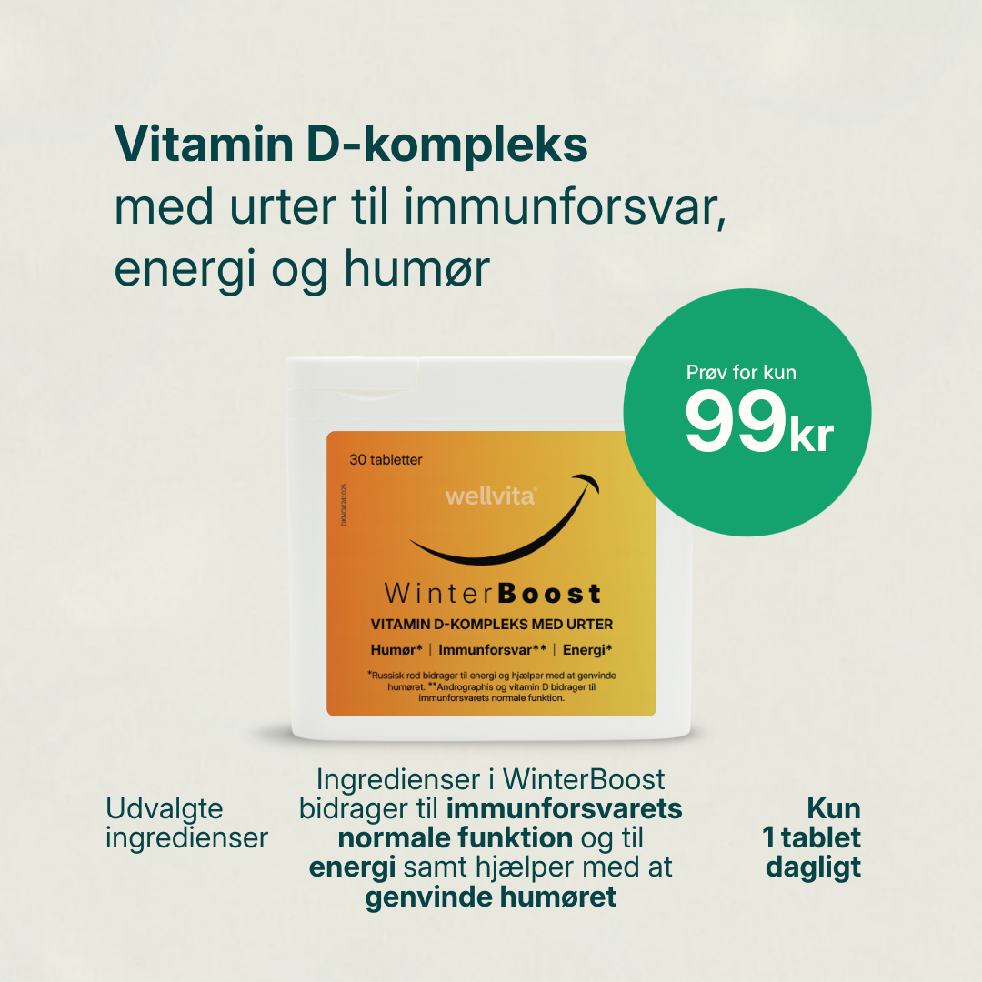 WinterBoost vitamin D-tilskud med urter for energi, humør og immunforsvar om vinteren