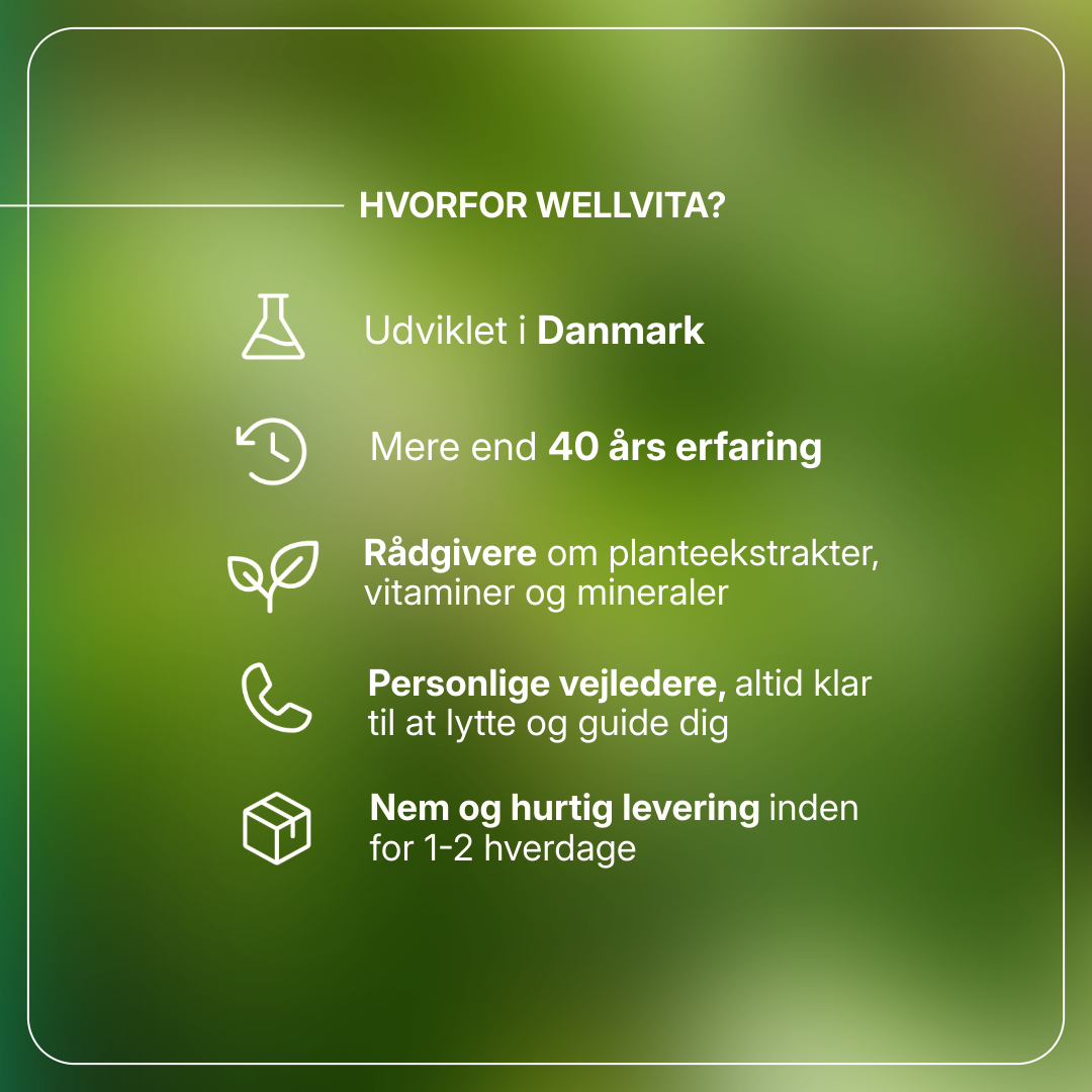 WinterBoost vitamin D-tilskud med urter for energi, humør og immunforsvar om vinteren