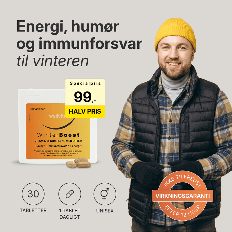 WinterBoost billede 1