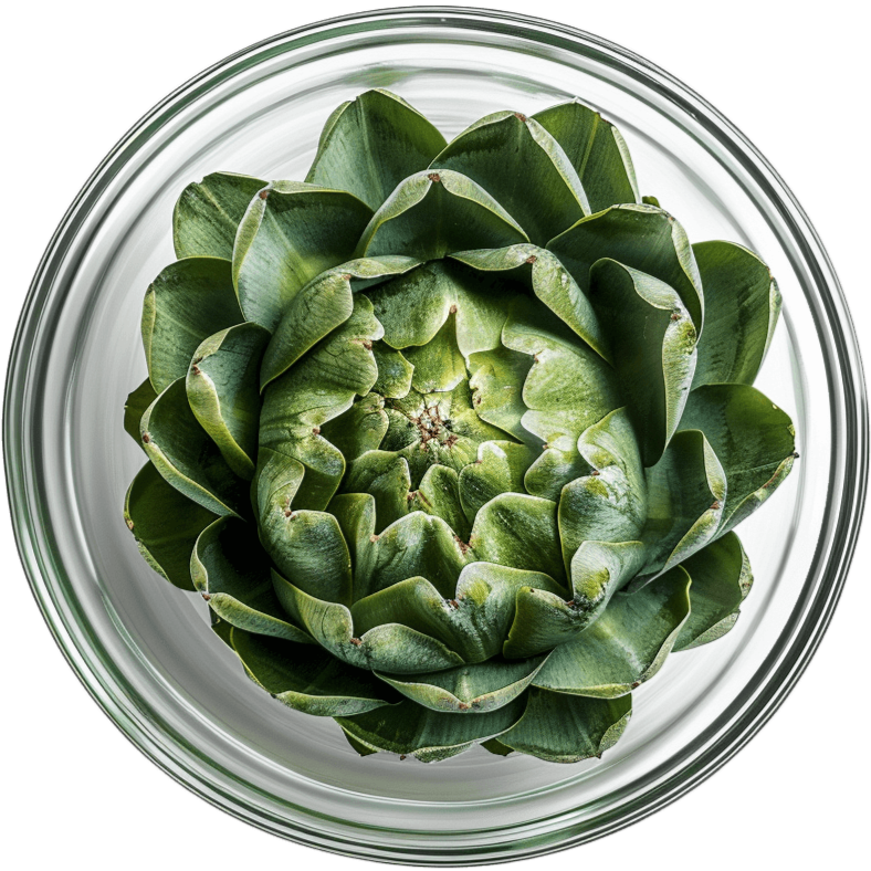 Macoform Plus kosttilskud med artiskok, pebermynte, kamille og fennikelfrø til fordøjelse og reduktion af oppustethed, 120 tabletter.