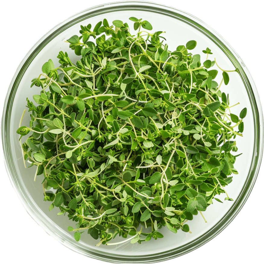 Remital kosttilskud med bacopa monnieri og ginseng til forbedret hukommelse og mental skarphed, 60 tabletter.