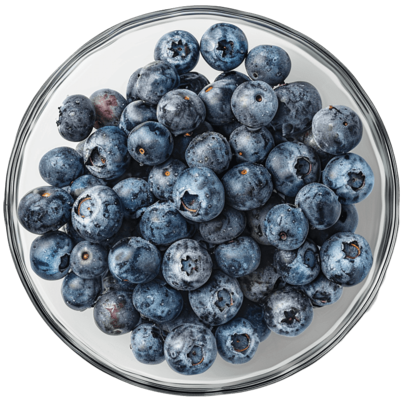 Vistavital eye supplement with blueberries, marigold, buckwheat, vitamins, and minerals in 120 tablets packaging