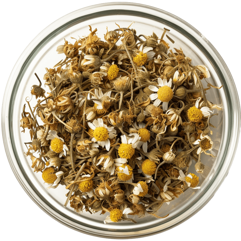 Gestomax produktemballage