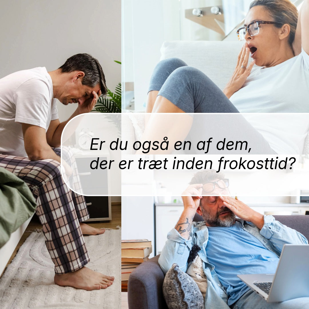 Energo Plus billede 2