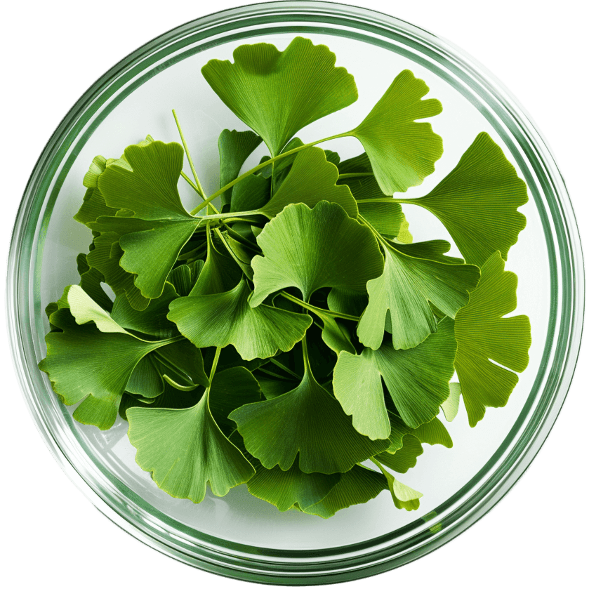 Tempozil dietary supplement with ginkgo biloba and vitamin B6 for mental balance and improved circulation, 60 tablets