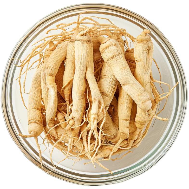Remital kosttilskud med bacopa monnieri og ginseng til forbedret hukommelse og mental skarphed, 60 tabletter.