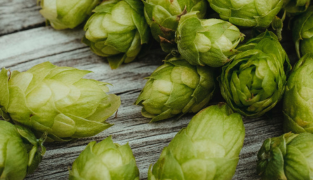 Sedaforte kosttilskud med citronmelisse, humle, kamille og schizandra for afslapning og bedre søvn, 60 tabletter.