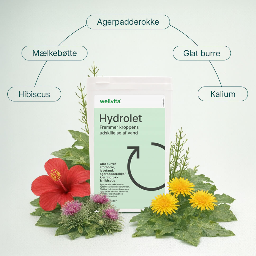 Hydrolet billede 5