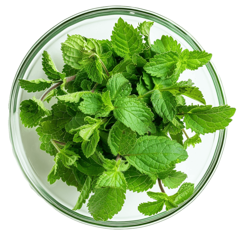 Sedaforte Plus produktemballage