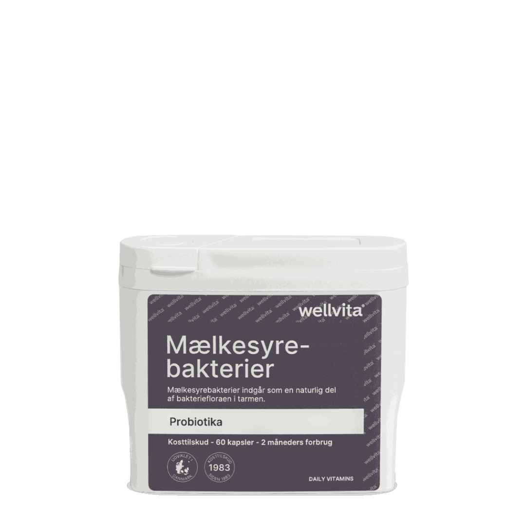 Mælkesyrebakterier som en naturlig del af bakteriefloraen i tarmen 